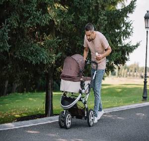 FACTS ABOUT BEST STROLLER FOR TALL PARENTS